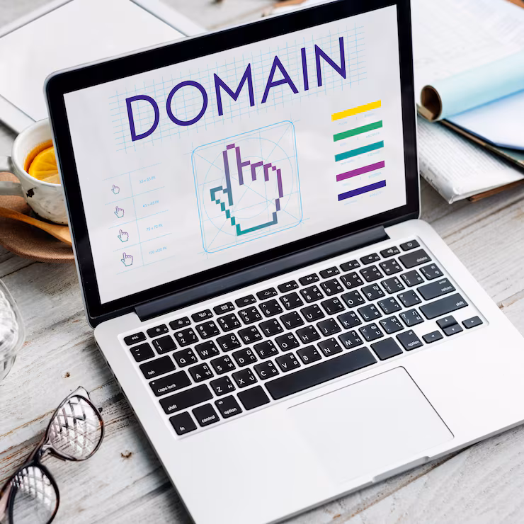 Domain registration and professional business website identity